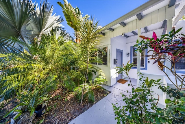 12125 NE 5th Ave, North Miami, FL 33161 - entrance to property featuring board and batten siding and stucco siding