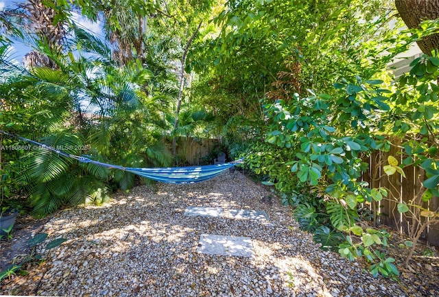 12125 NE 5th Ave, North Miami, FL 33161 - view of yard
