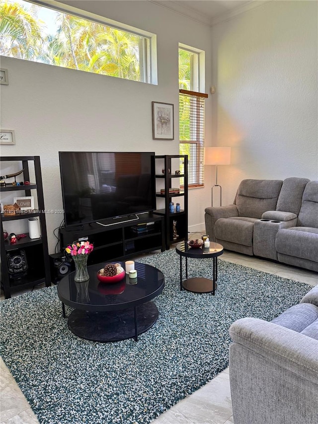 3700 Oak Ridge Ln, Weston, FL 33331 - living room with crown molding