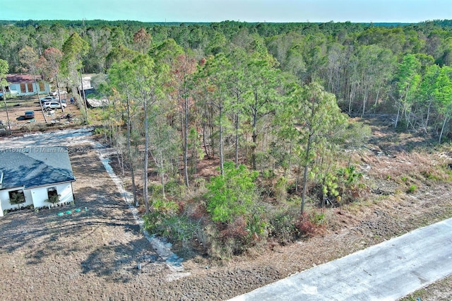 634 Ladd St, Lehigh Acres, FL 33974 - photo 1