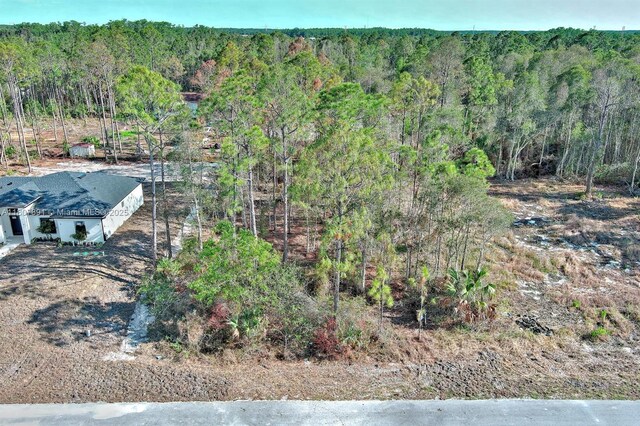 634 Ladd St, Lehigh Acres, FL 33974 - photo 7