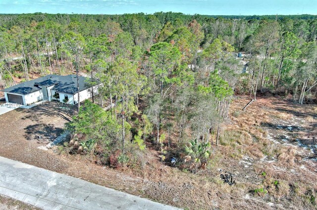 634 Ladd St, Lehigh Acres, FL 33974 - photo 8