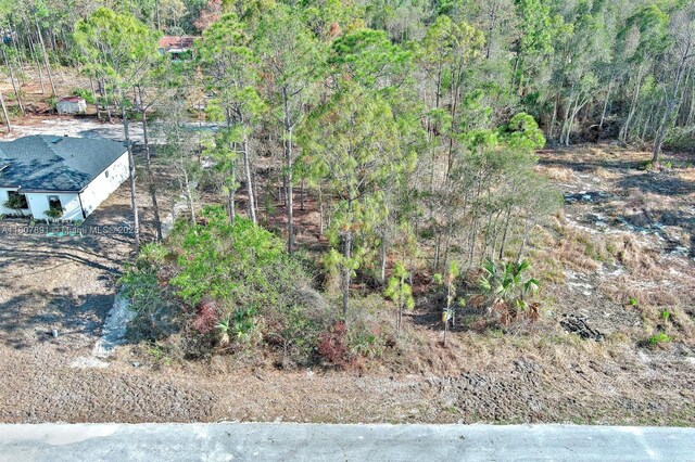 634 Ladd St, Lehigh Acres, FL 33974 - photo 9