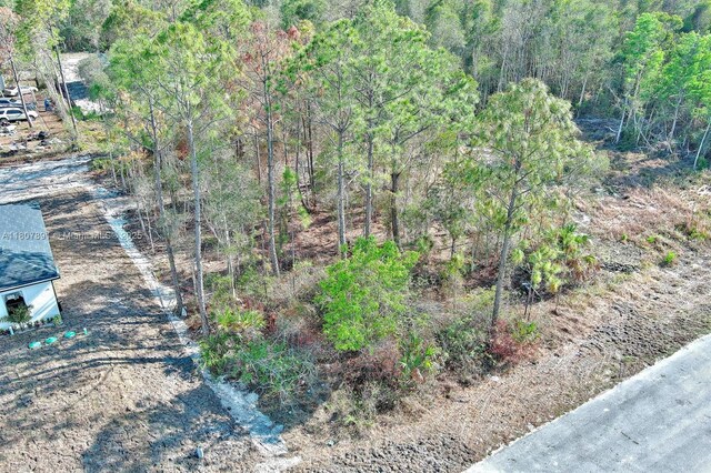 634 Ladd St, Lehigh Acres, FL 33974 - photo 10