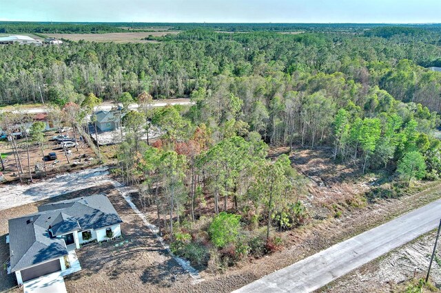 634 Ladd St, Lehigh Acres, FL 33974 - photo 11