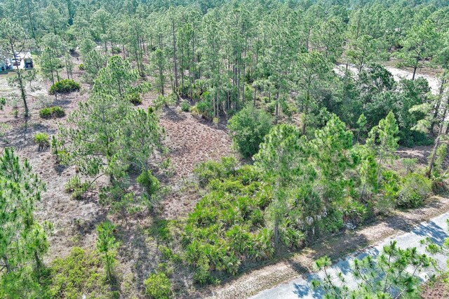 317 Fitch Ave, Lehigh Acres, FL 33936 - photo 1