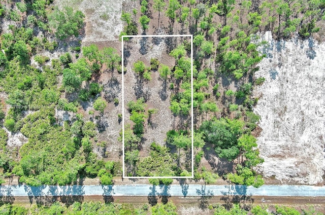 317 Fitch Ave, Lehigh Acres, FL 33936 - photo 2