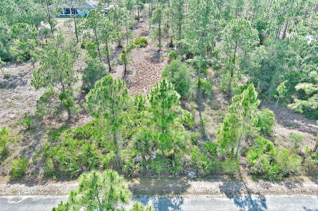 317 Fitch Ave, Lehigh Acres, FL 33936 - photo 3