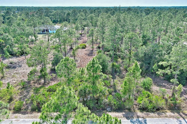317 Fitch Ave, Lehigh Acres, FL 33936 - photo 4