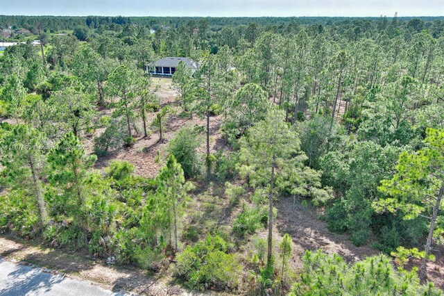 317 Fitch Ave, Lehigh Acres, FL 33936 - photo 5