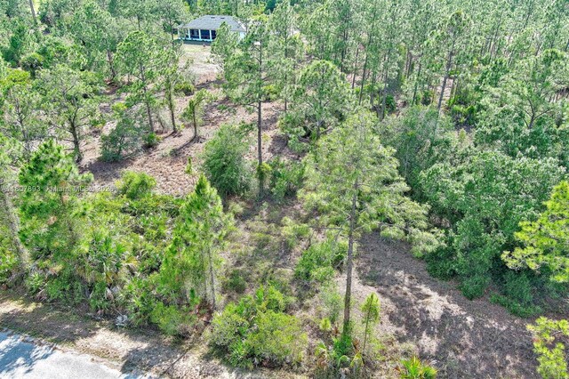 317 Fitch Ave, Lehigh Acres, FL 33936 - photo 6