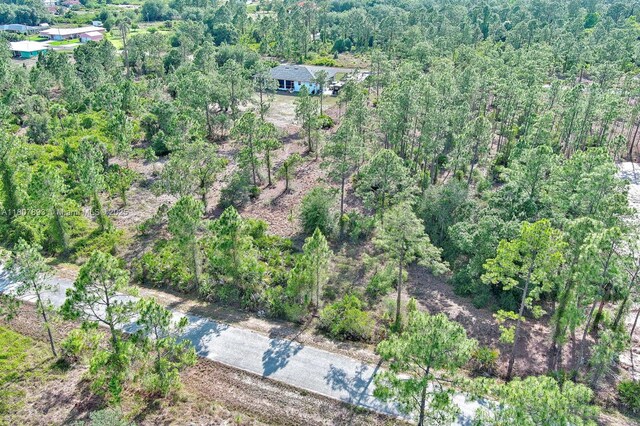 317 Fitch Ave, Lehigh Acres, FL 33936 - photo 8