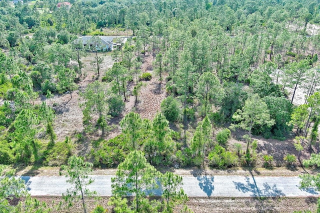 317 Fitch Ave, Lehigh Acres, FL 33936 - photo 9