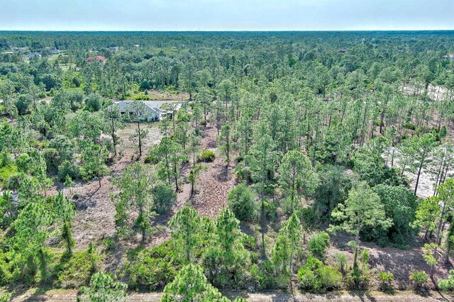 317 Fitch Ave, Lehigh Acres, FL 33936 - photo 10