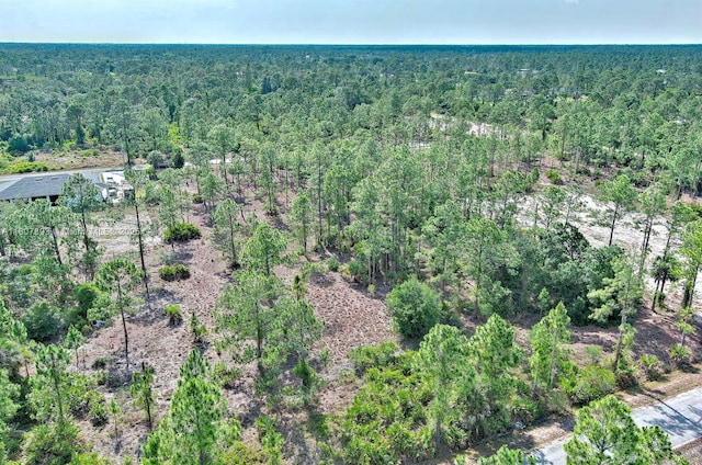 317 Fitch Ave, Lehigh Acres, FL 33936 - photo 11
