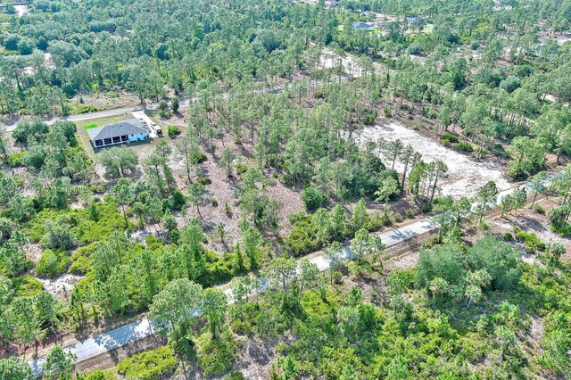 317 Fitch Ave, Lehigh Acres, FL 33936 - photo 14