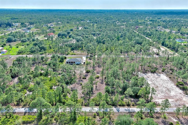 317 Fitch Ave, Lehigh Acres, FL 33936 - photo 16