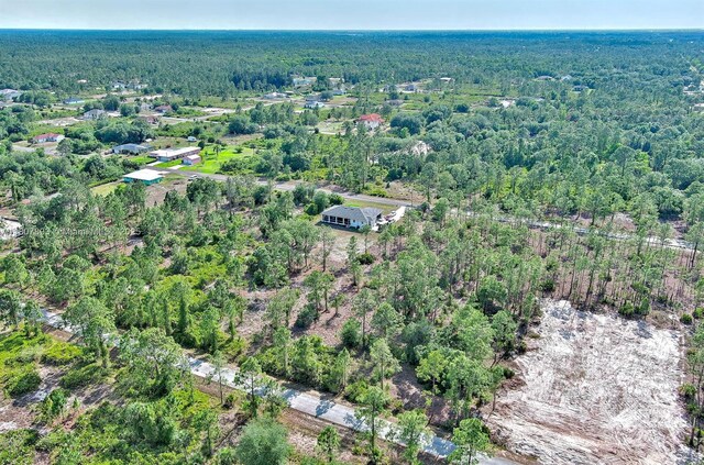 317 Fitch Ave, Lehigh Acres, FL 33936 - photo 17