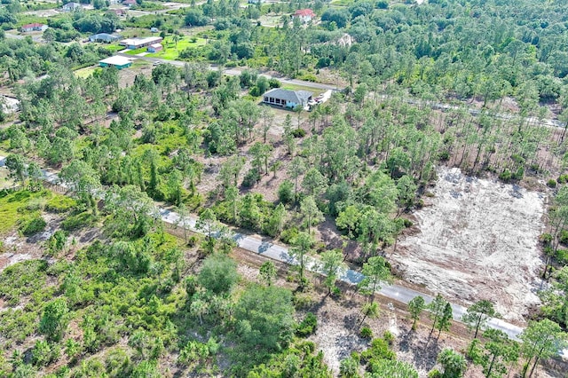 317 Fitch Ave, Lehigh Acres, FL 33936 - photo 18