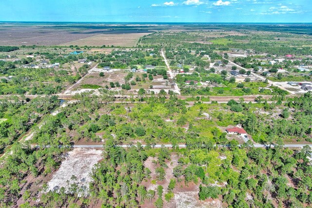 317 Fitch Ave, Lehigh Acres, FL 33936 - photo 21
