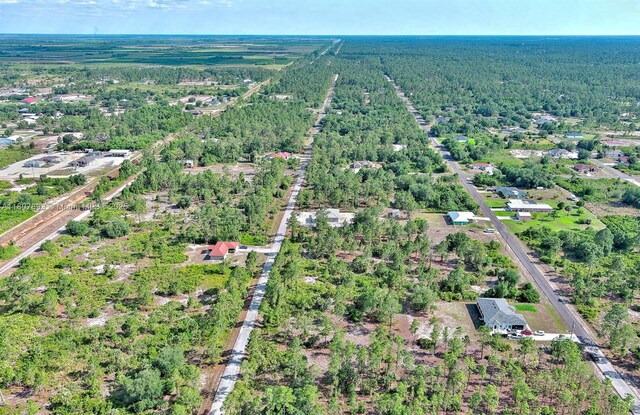 317 Fitch Ave, Lehigh Acres, FL 33936 - photo 22