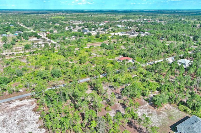 317 Fitch Ave, Lehigh Acres, FL 33936 - photo 23