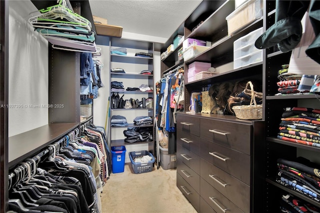 7582 SW 191st St, Cutler Bay, FL 33157 - walk in closet with carpet flooring