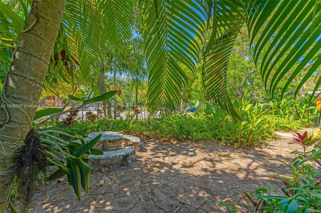 1895 SW 25th St, Miami, FL 33133 - view of yard