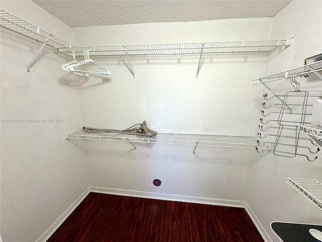 20866 NW 3rd Ln, Pembroke Pines, FL 33029 - walk in closet featuring wood finished floors