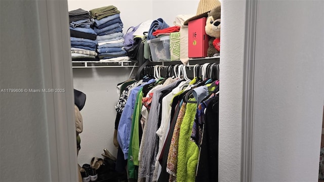 10846 SW 240th Ln, Homestead, FL 33032 - view of walk in closet