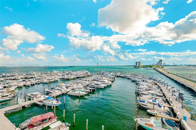 555 NE 15th St Unit 603, Miami, FL 33132 - water view with numerous boat docks and a boat dock