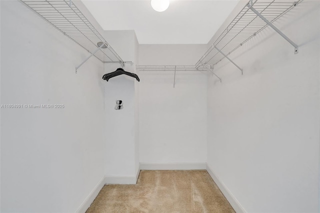 14951 Royal Oaks Ln Unit 1406, North Miami, FL 33181 - spacious closet with light colored carpet