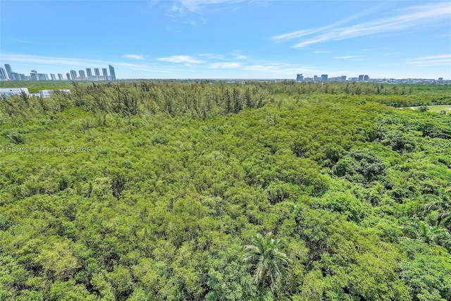 14951 Royal Oaks Ln Unit 1406, North Miami, FL 33181 - bird's eye view of skyline and a heavily wooded area