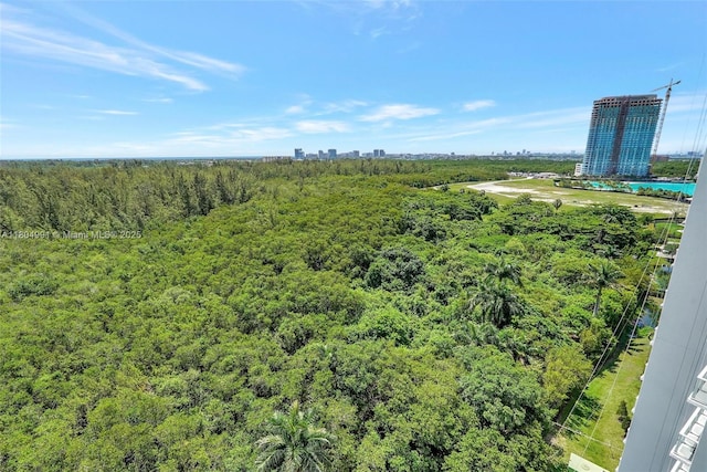 14951 Royal Oaks Ln Unit 1406, North Miami, FL 33181 - bird's eye view of a forest