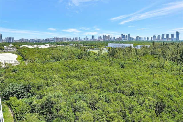14951 Royal Oaks Ln Unit 1406, North Miami, FL 33181 - bird's eye view of a forest and skyline