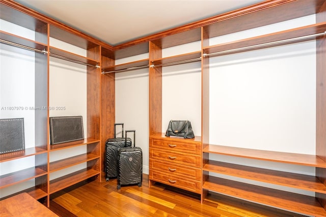 101 S Fort Lauderdale Beach Blvd Unit 1001, Fort Lauderdale, FL 33316 - walk in closet with wood finished floors