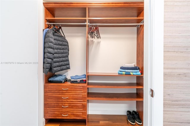 101 S Fort Lauderdale Beach Blvd Unit 1001, Fort Lauderdale, FL 33316 - view of closet