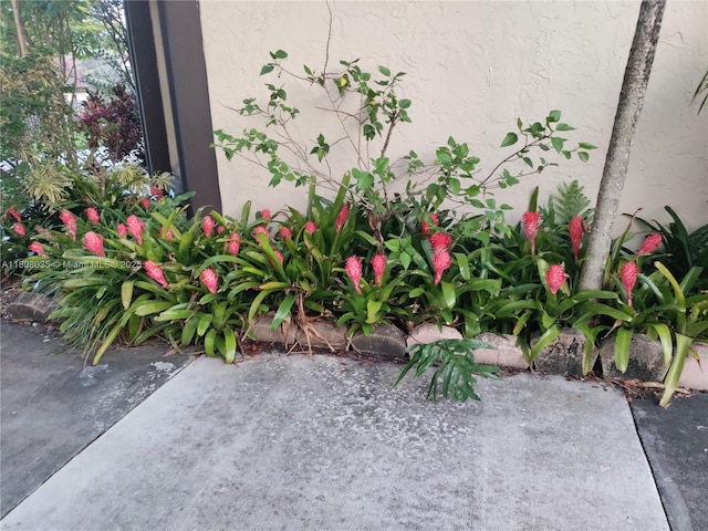 15210 SW 48th Ter Unit H-83, Miami, FL 33185 - exterior view of stucco siding