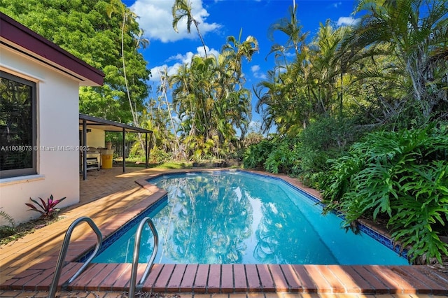 9155 SW 179th St, Palmetto Bay, FL 33157 - view of outdoor pool