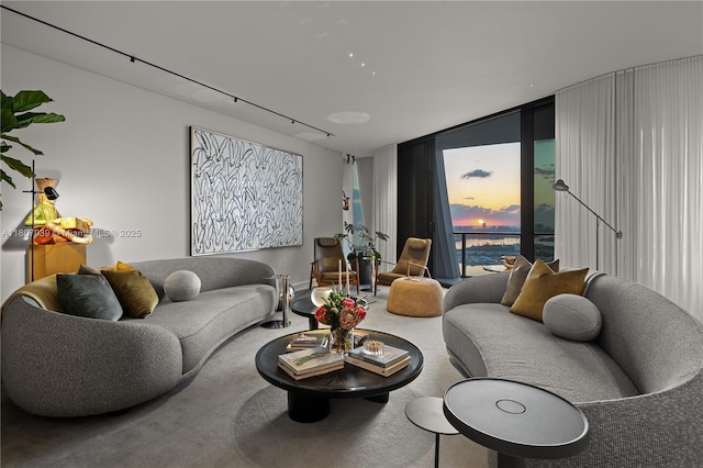 1000 Biscayne Blvd Unit 3201, Miami, FL 33132 - living area featuring carpet flooring