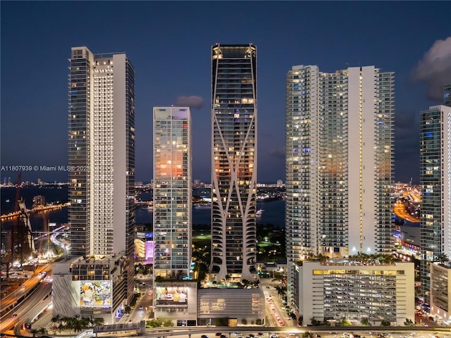 1000 Biscayne Blvd Unit 3201, Miami, FL 33132 - view of city featuring a view of city lights
