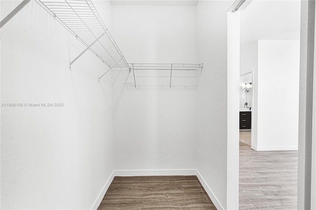 22519 SW 125th Ave Unit B, Miami, FL 33170 - spacious closet with wood finished floors