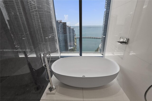 300 Biscayne Blvd Way Unit 3104, Miami, FL 33131 - full bathroom with a water view, a freestanding bath, and a shower stall
