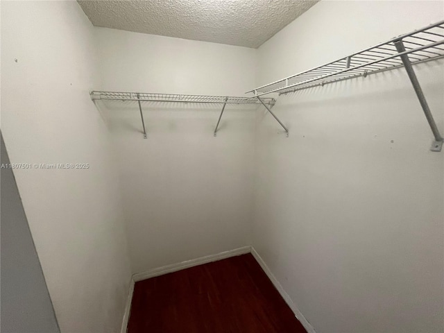 8670 NW 6th Ln Unit 4-103, Miami, FL 33126 - walk in closet featuring dark wood-style floors