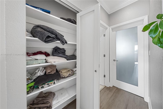 925 SW 147th Ct, Miami, FL 33194 - view of closet