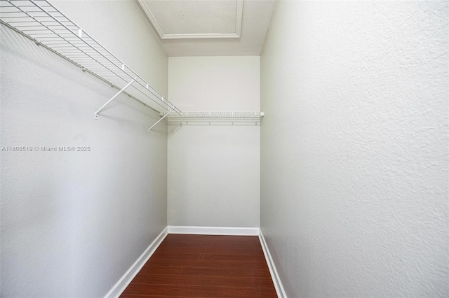 1880 SE 3rd Dr, Homestead, FL 33033 - walk in closet featuring wood finished floors and attic access