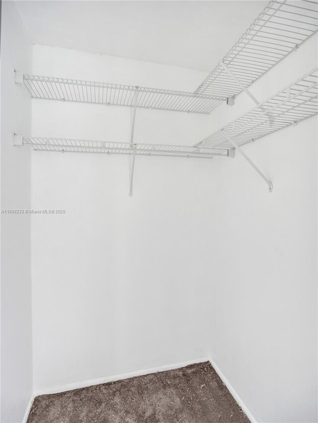 7100 NW 17th St Unit 306, Plantation, FL 33313 - spacious closet featuring dark carpet