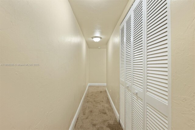 19460 NE 26th Ave Unit 12B, Miami, FL 33180 - corridor featuring carpet flooring and baseboards