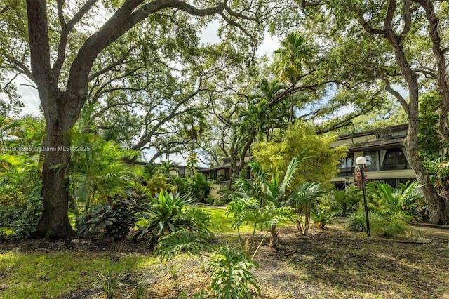 19460 NE 26th Ave Unit 12B, Miami, FL 33180 - view of yard