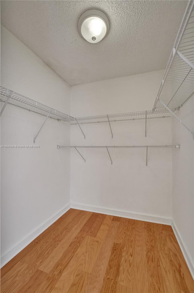 1551 NW 92nd Ave Unit 185, Pembroke Pines, FL 33024 - spacious closet with light wood-style flooring